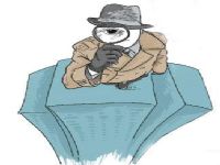双辽市取证公司解说第三者承担离婚赔偿责任吗